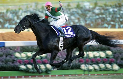 2002年 馬|生年[2002]の競走馬検索結果｜競馬データベー